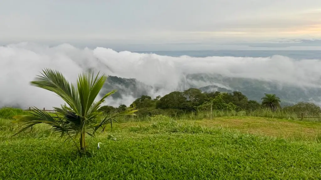 Leben in Miramar, Costa Rica: Finde heraus, warum Auswandern nach Costa Rica Miramar für dich die richtige Wahl sein könnte.